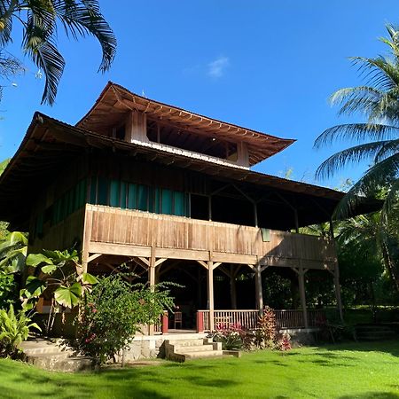 Ocean Forest Ecolodge San Pedrillo Kültér fotó