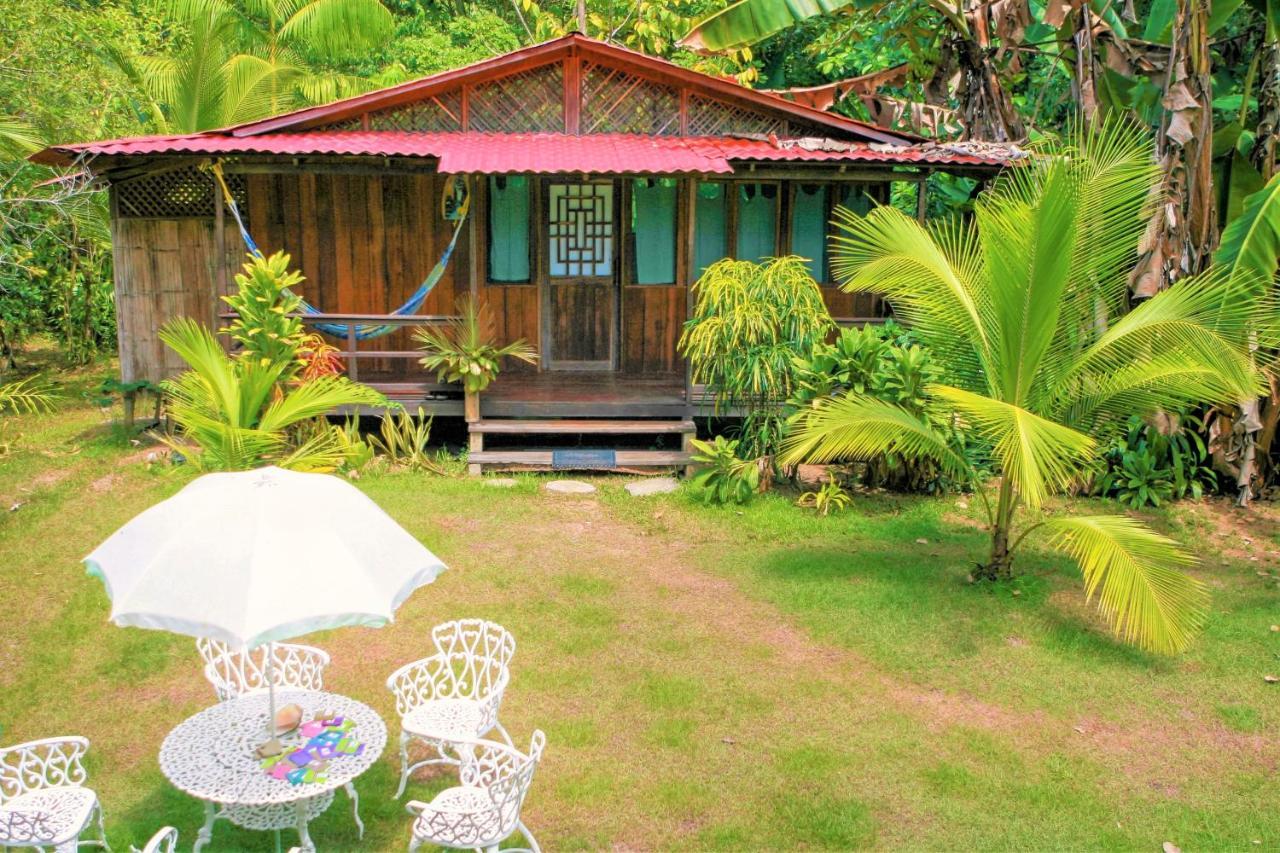 Ocean Forest Ecolodge San Pedrillo Kültér fotó
