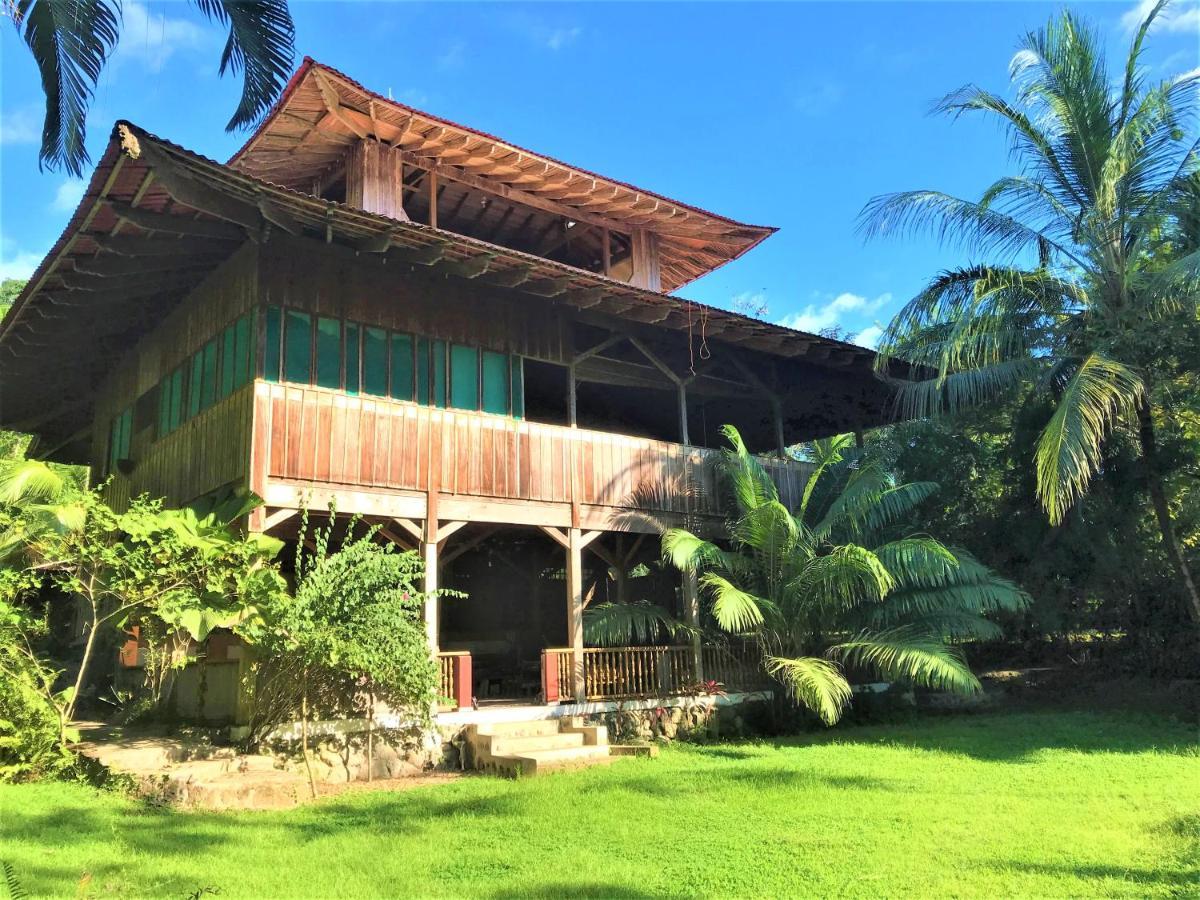 Ocean Forest Ecolodge San Pedrillo Kültér fotó