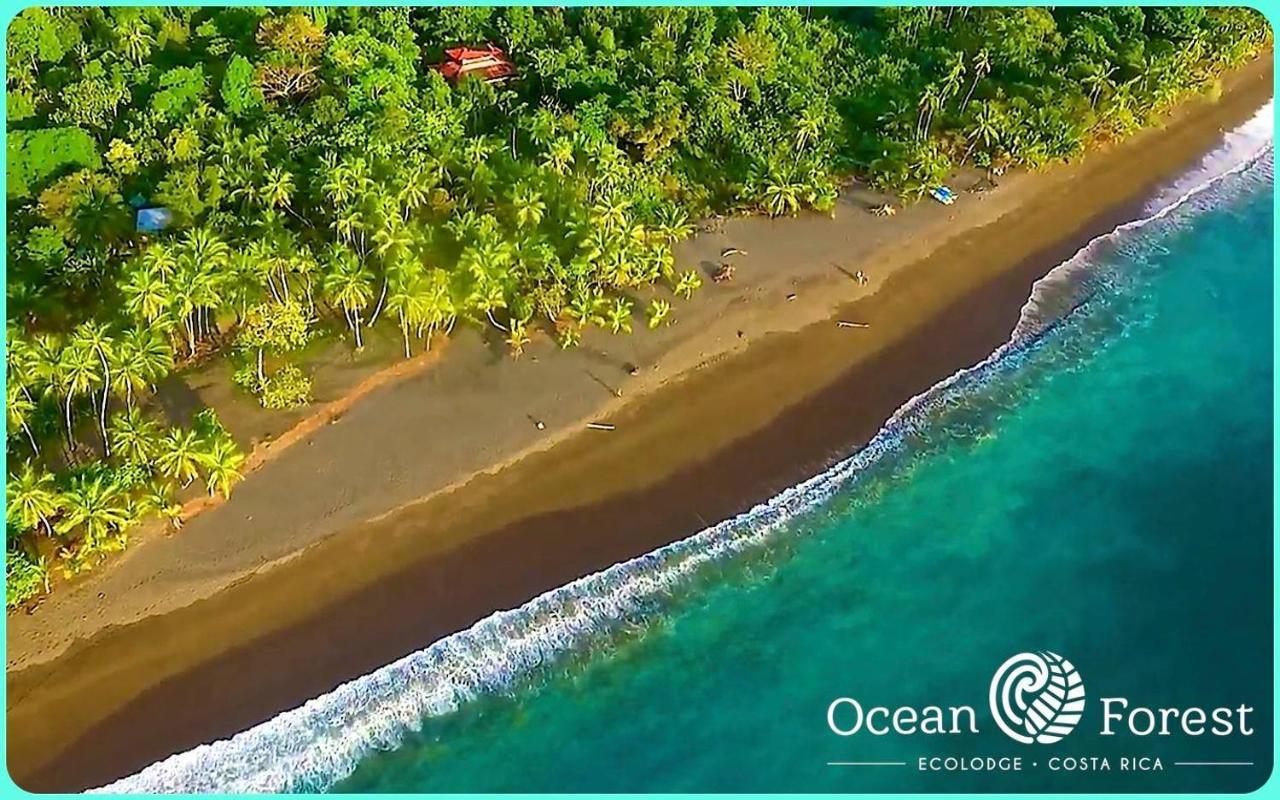Ocean Forest Ecolodge San Pedrillo Kültér fotó