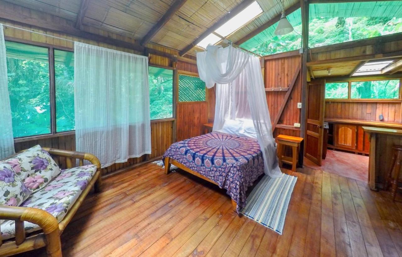 Ocean Forest Ecolodge San Pedrillo Kültér fotó