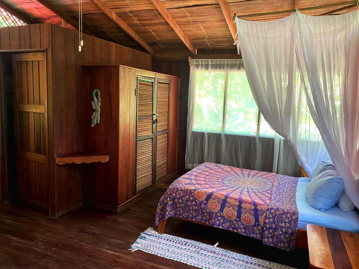 Ocean Forest Ecolodge San Pedrillo Kültér fotó