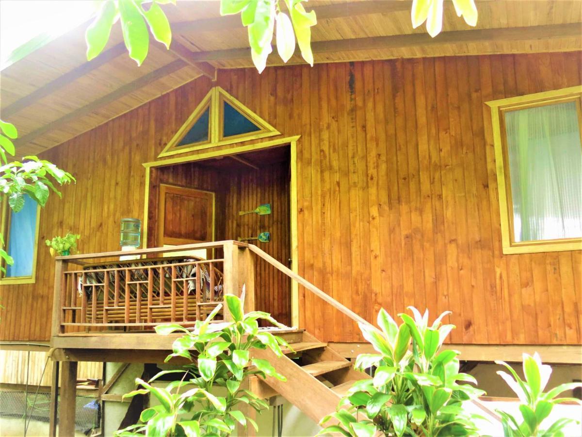 Ocean Forest Ecolodge San Pedrillo Kültér fotó