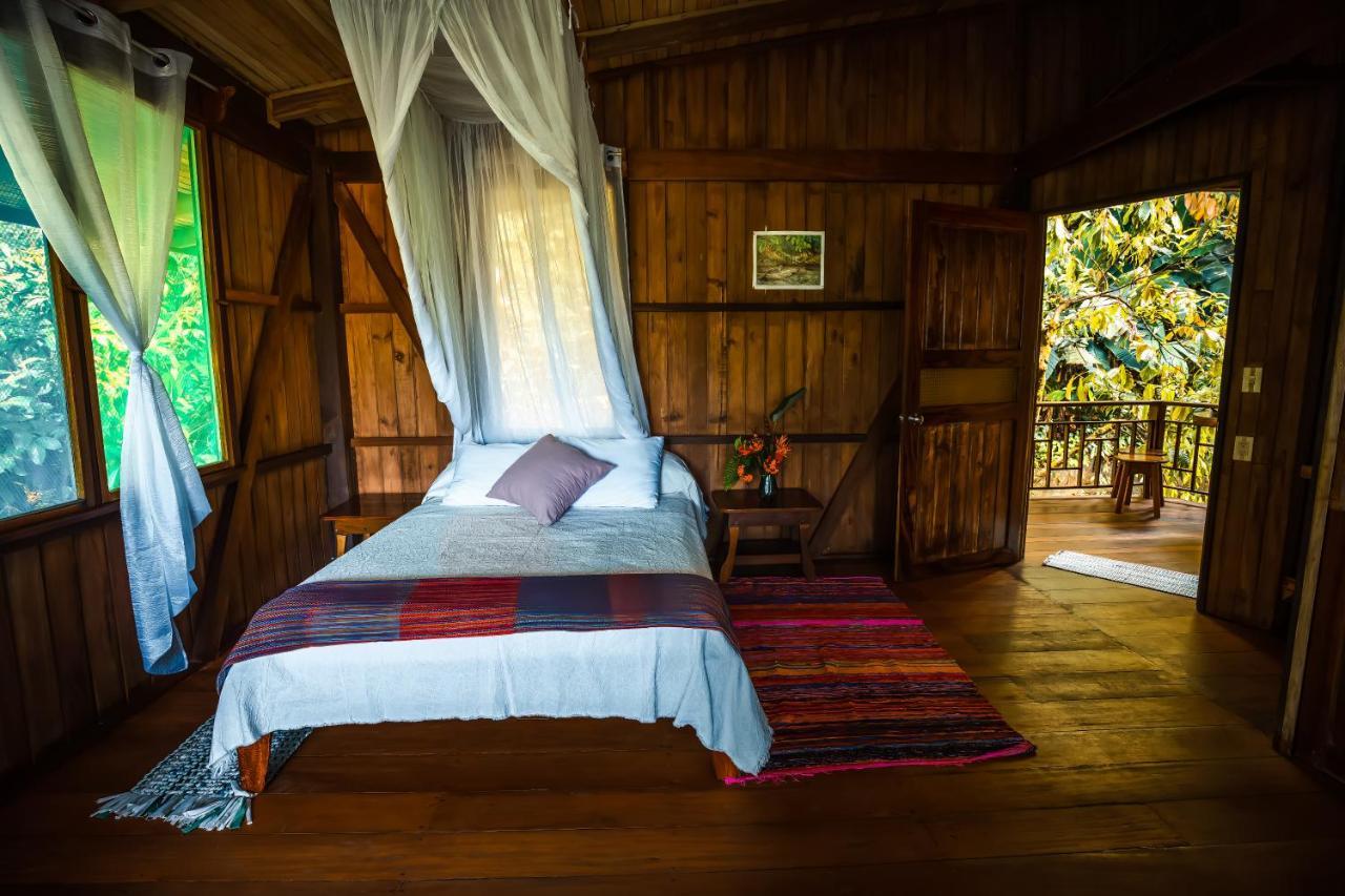 Ocean Forest Ecolodge San Pedrillo Kültér fotó