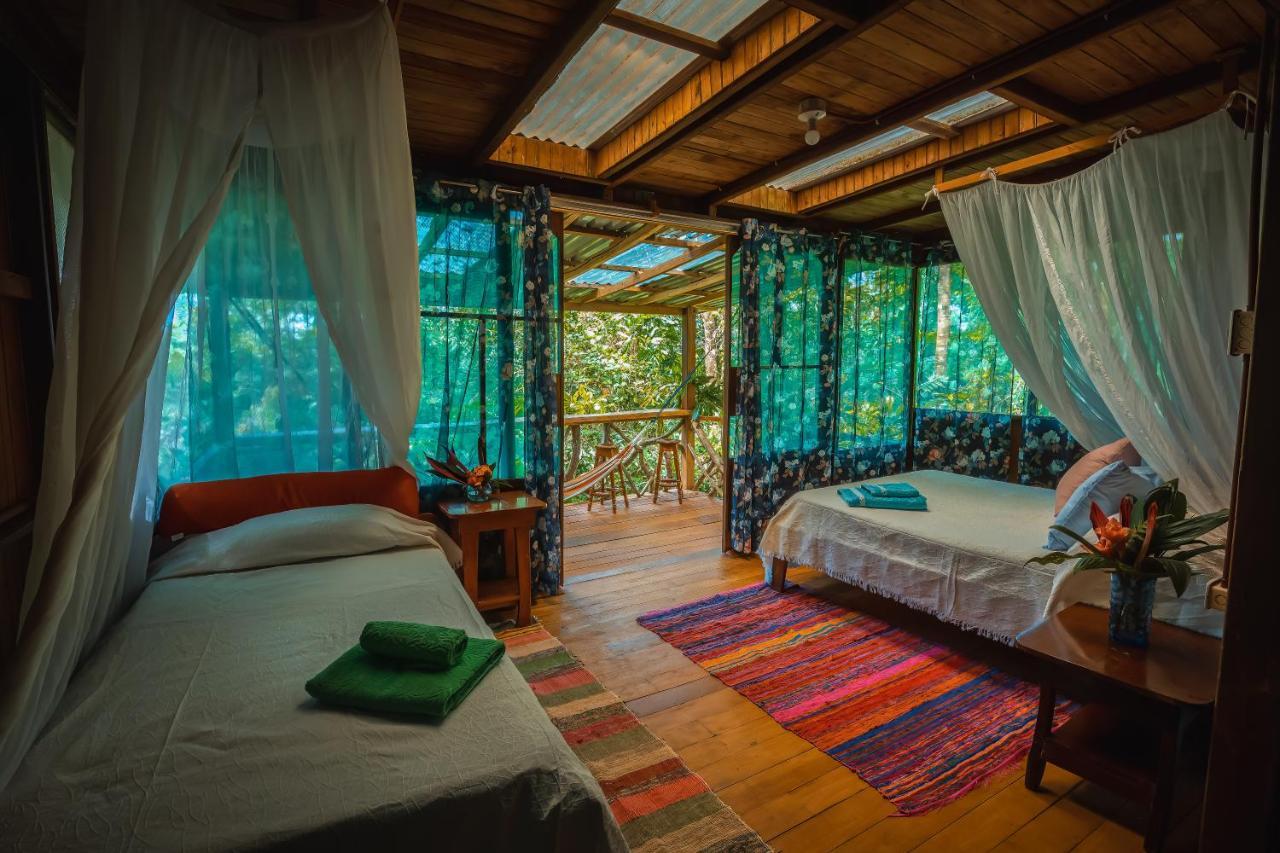 Ocean Forest Ecolodge San Pedrillo Kültér fotó
