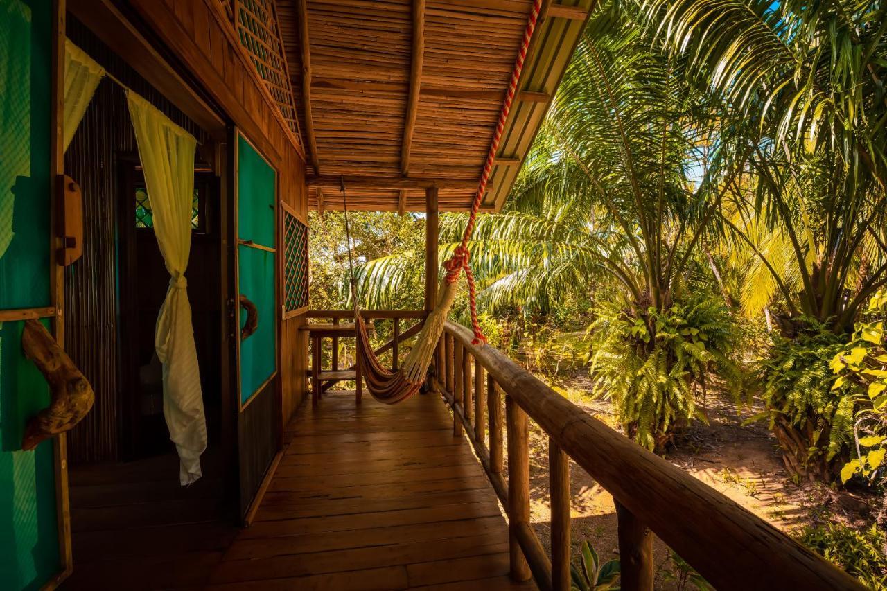 Ocean Forest Ecolodge San Pedrillo Kültér fotó