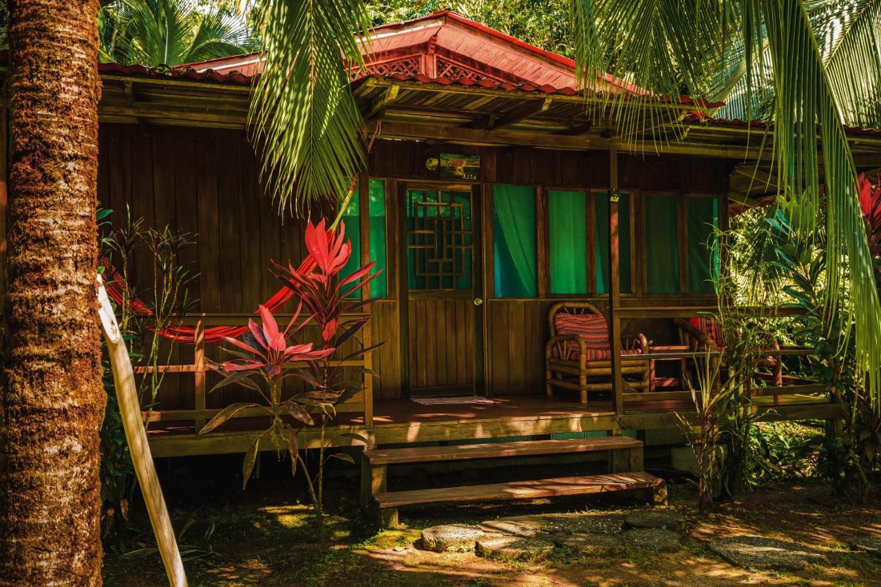 Ocean Forest Ecolodge San Pedrillo Kültér fotó