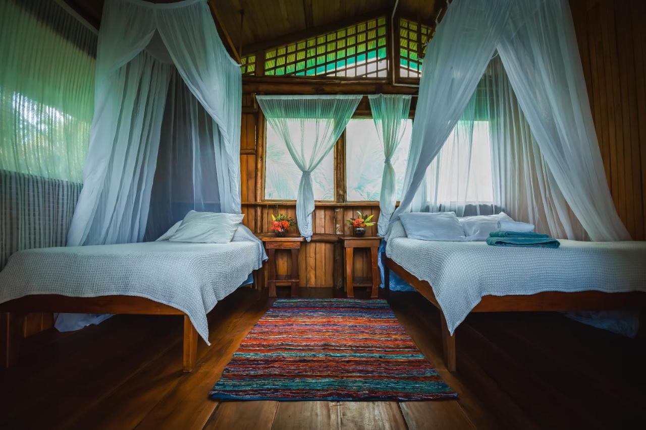 Ocean Forest Ecolodge San Pedrillo Kültér fotó