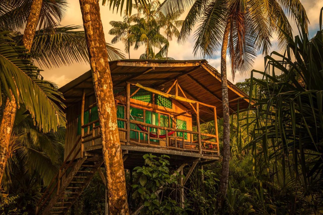 Ocean Forest Ecolodge San Pedrillo Kültér fotó