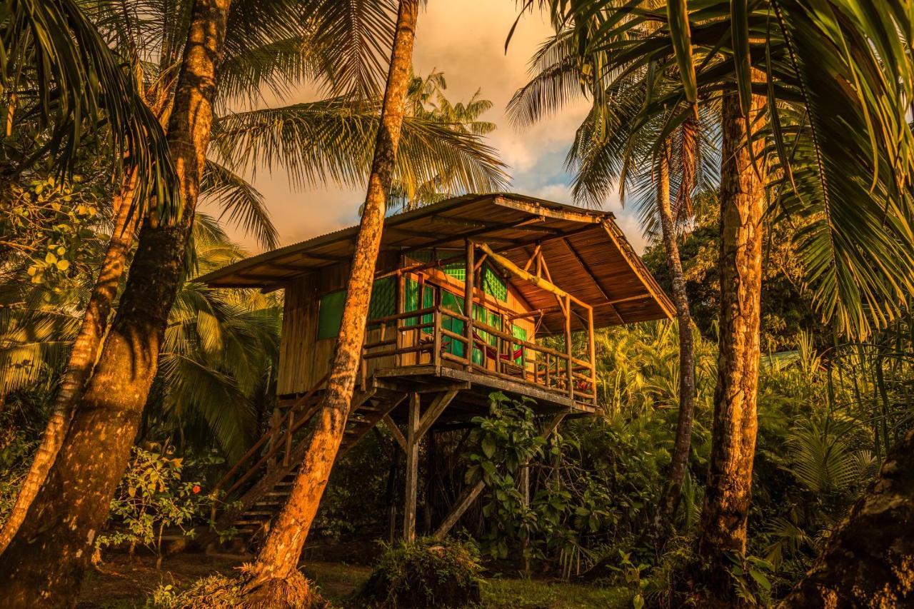 Ocean Forest Ecolodge San Pedrillo Kültér fotó