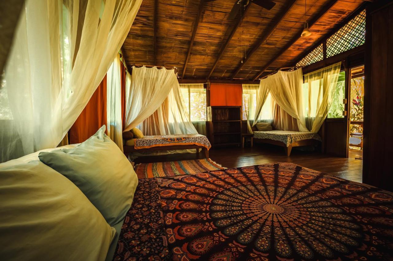 Ocean Forest Ecolodge San Pedrillo Kültér fotó