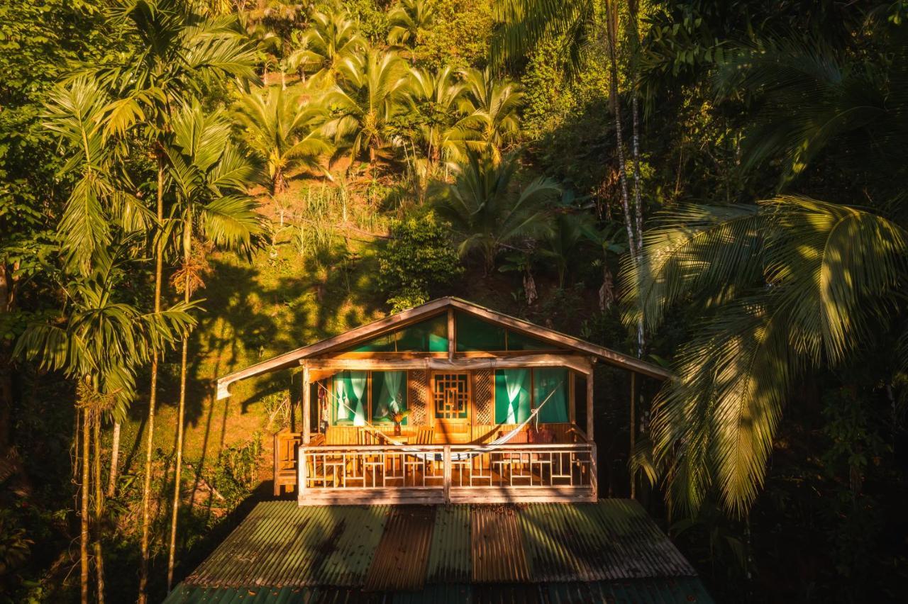 Ocean Forest Ecolodge San Pedrillo Kültér fotó