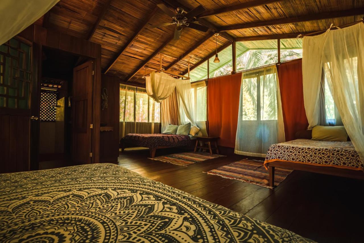 Ocean Forest Ecolodge San Pedrillo Kültér fotó