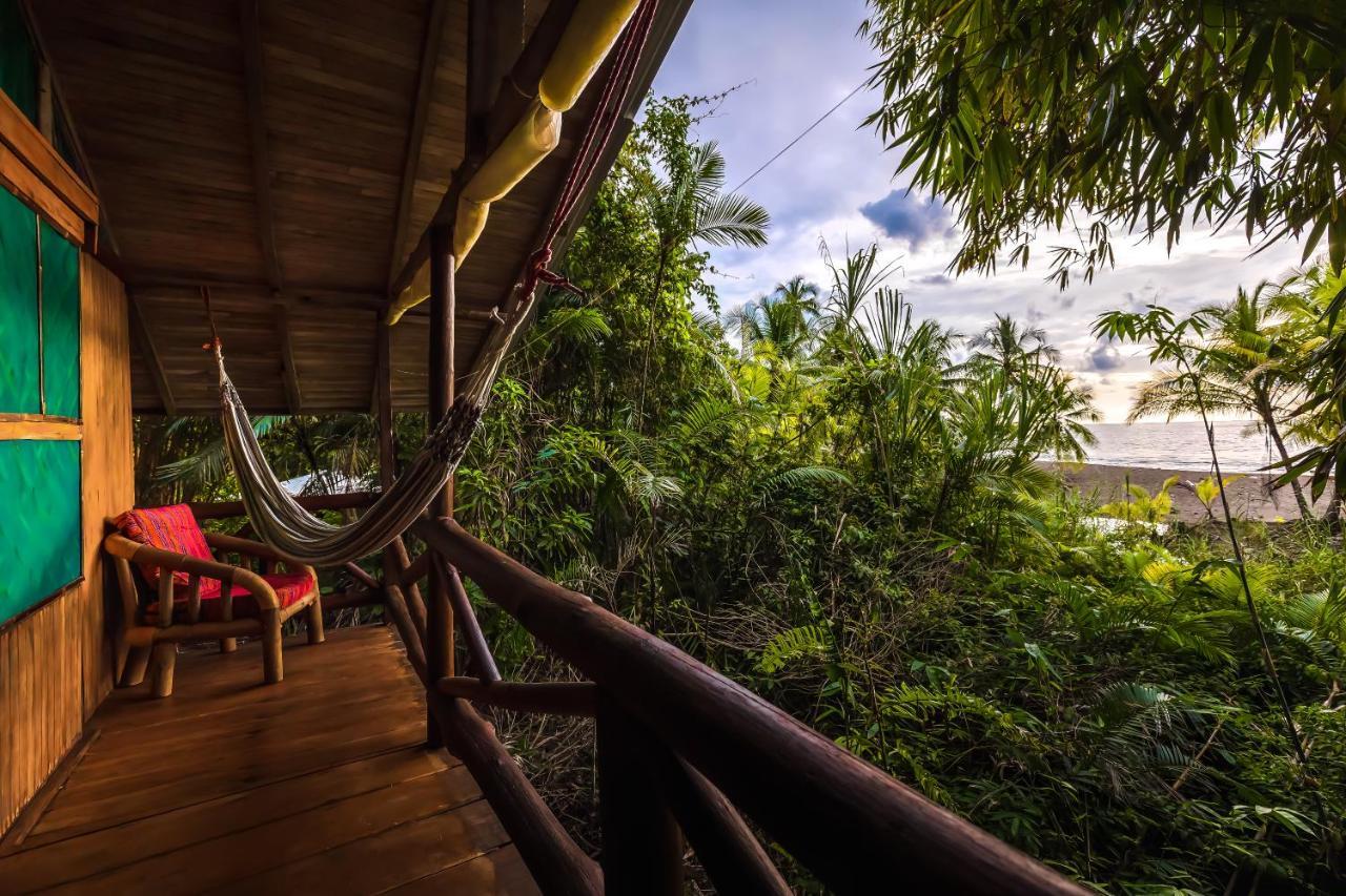 Ocean Forest Ecolodge San Pedrillo Kültér fotó