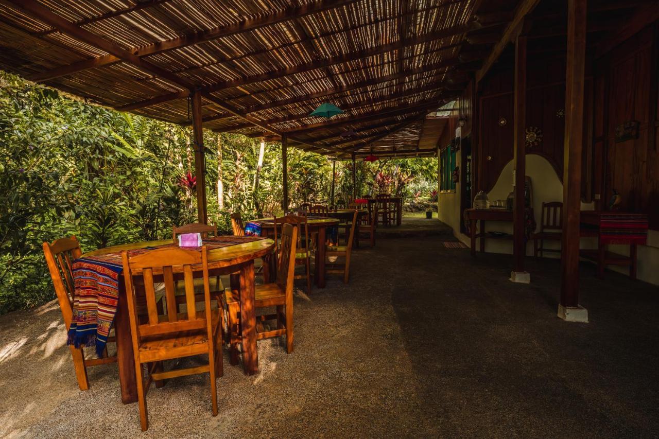 Ocean Forest Ecolodge San Pedrillo Kültér fotó