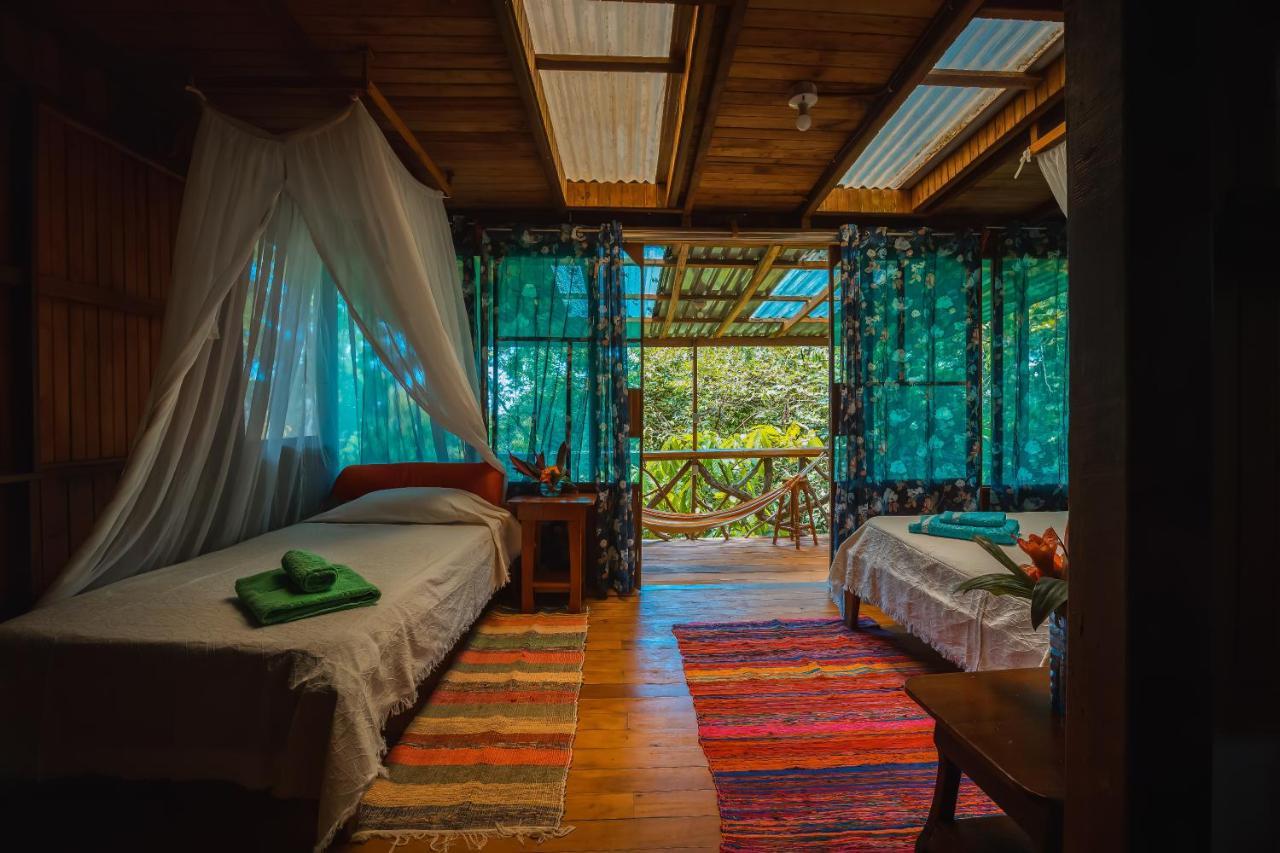 Ocean Forest Ecolodge San Pedrillo Kültér fotó