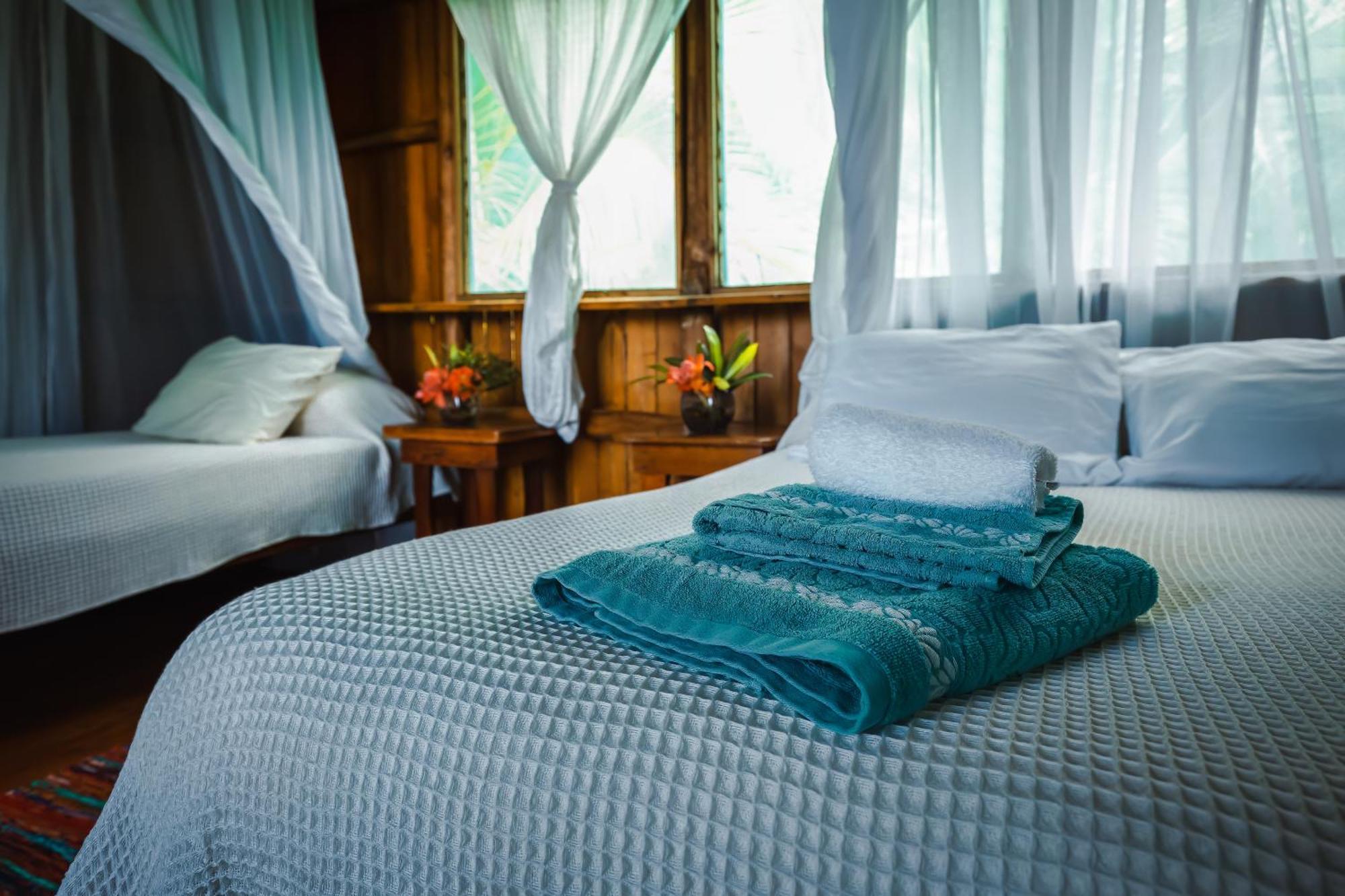Ocean Forest Ecolodge San Pedrillo Kültér fotó