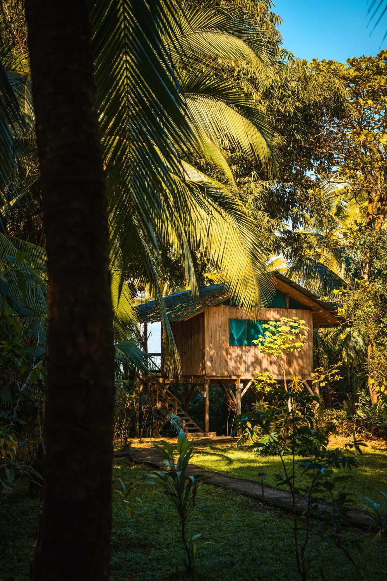 Ocean Forest Ecolodge San Pedrillo Kültér fotó