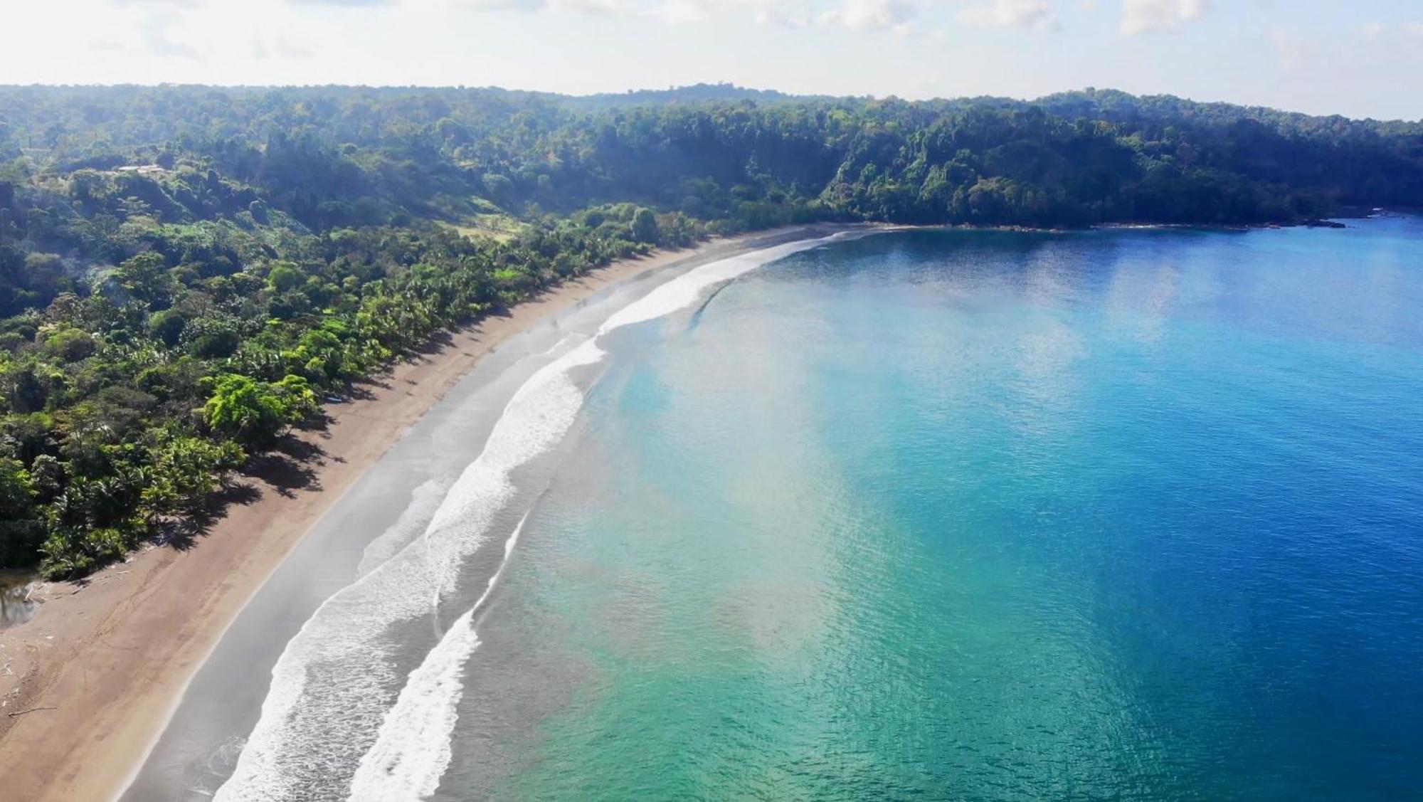 Ocean Forest Ecolodge San Pedrillo Kültér fotó