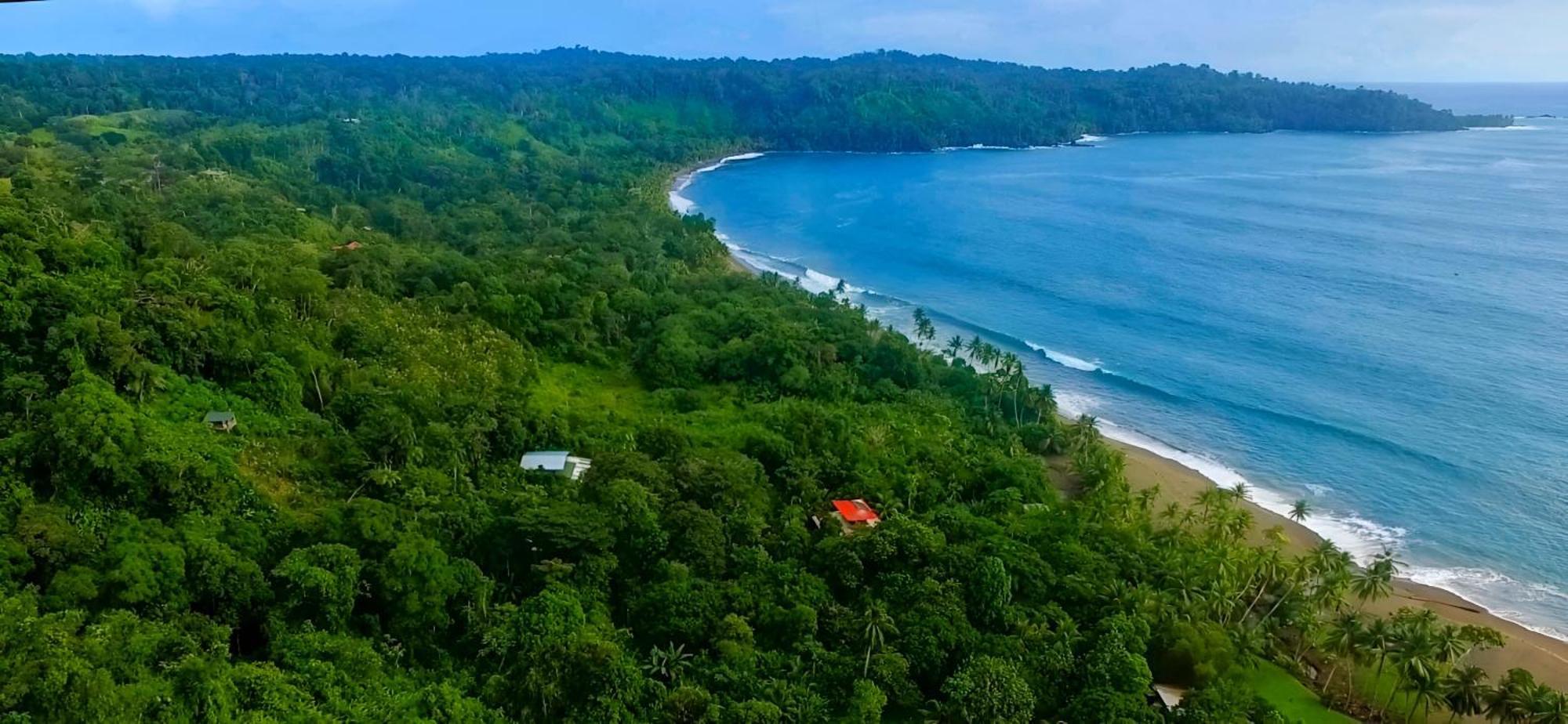 Ocean Forest Ecolodge San Pedrillo Kültér fotó