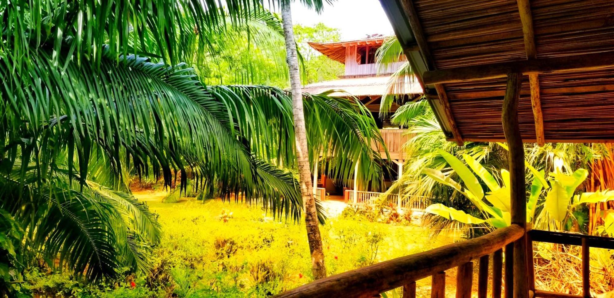 Ocean Forest Ecolodge San Pedrillo Kültér fotó
