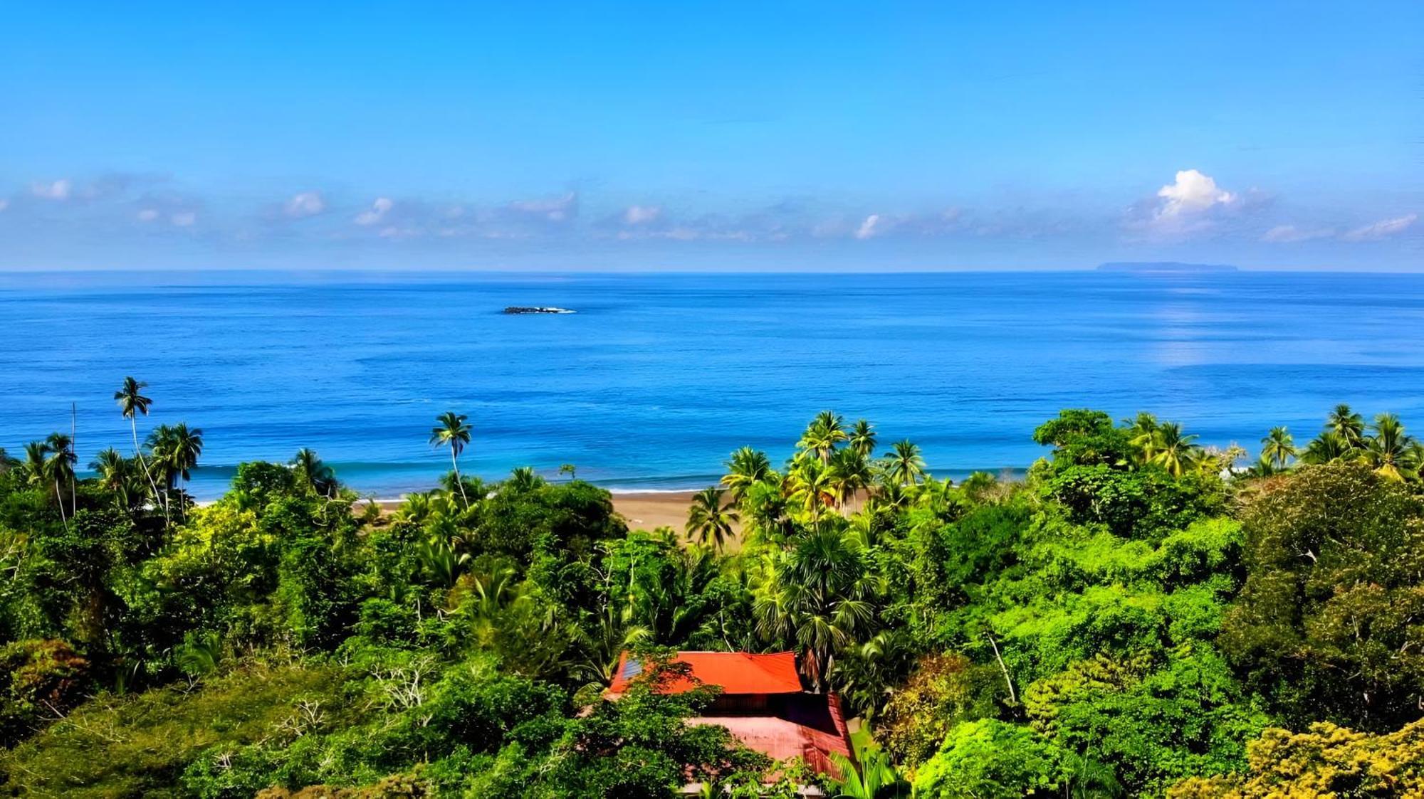 Ocean Forest Ecolodge San Pedrillo Kültér fotó