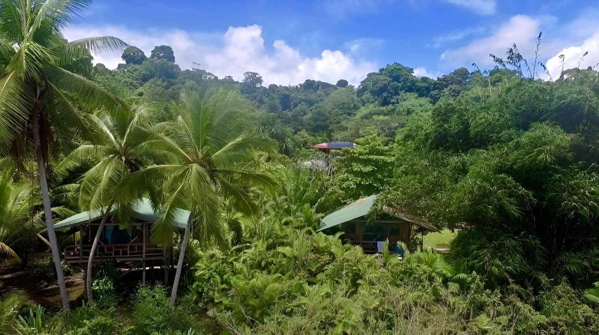 Ocean Forest Ecolodge San Pedrillo Kültér fotó