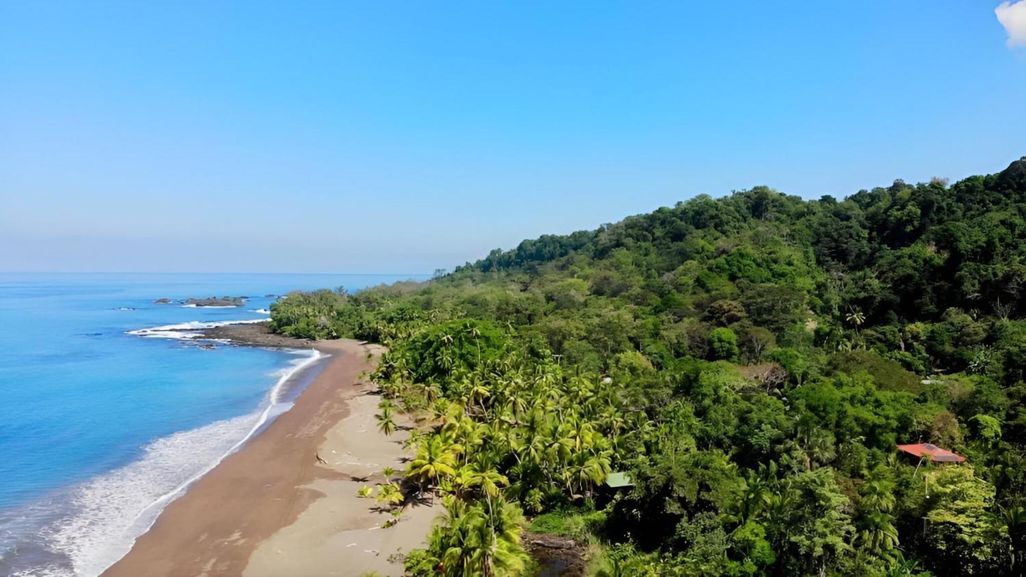 Ocean Forest Ecolodge San Pedrillo Kültér fotó