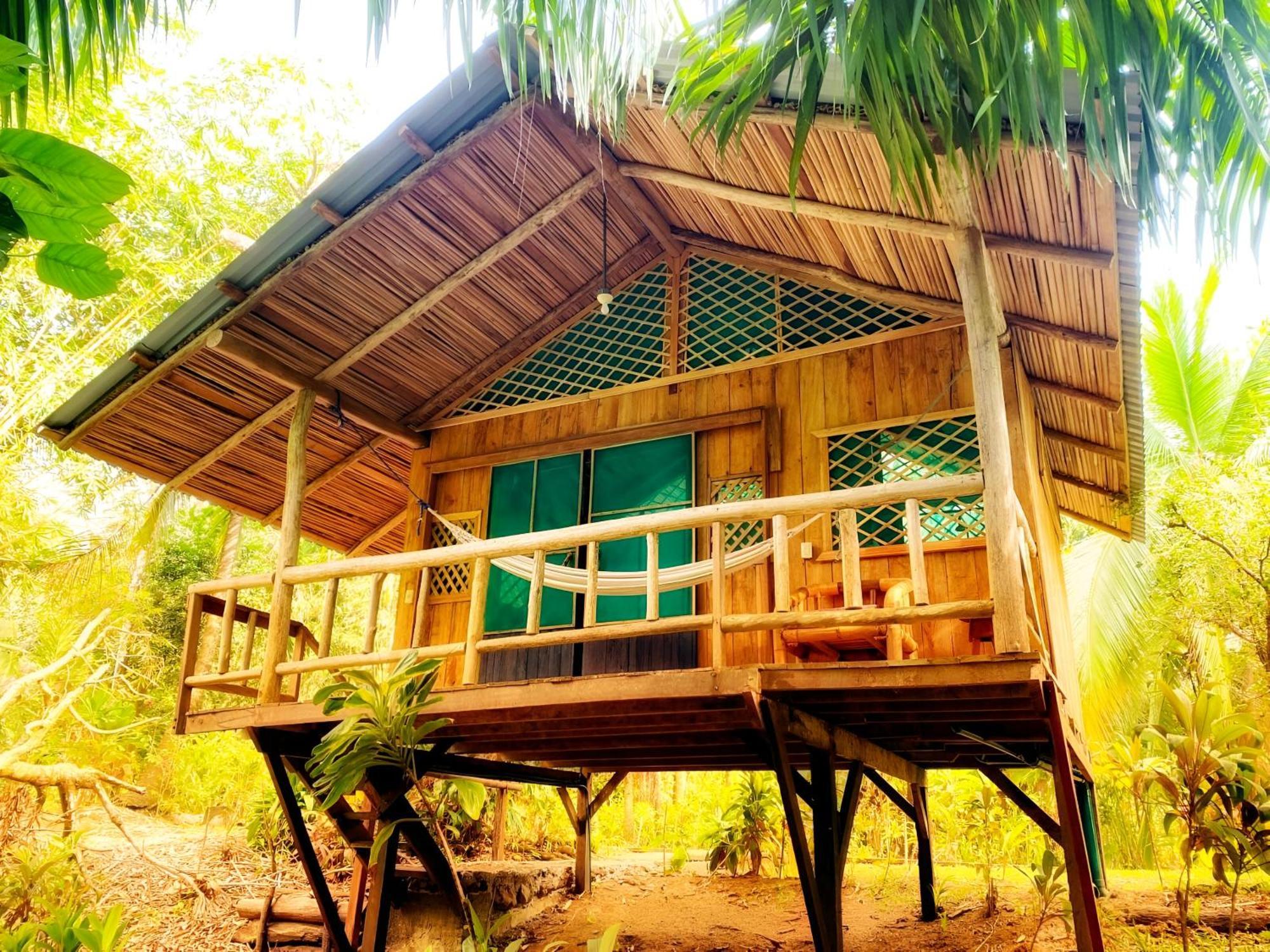 Ocean Forest Ecolodge San Pedrillo Kültér fotó