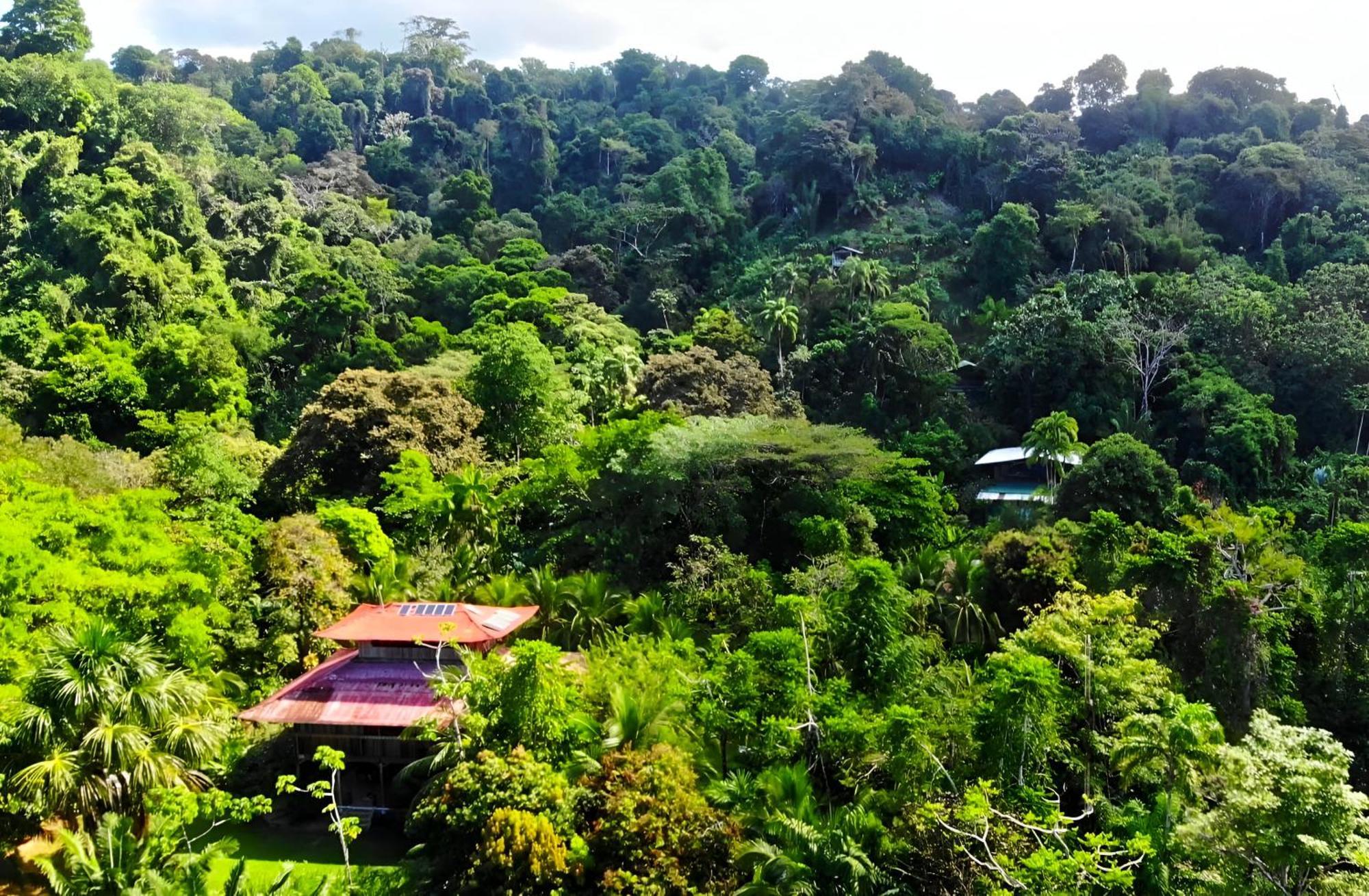 Ocean Forest Ecolodge San Pedrillo Kültér fotó
